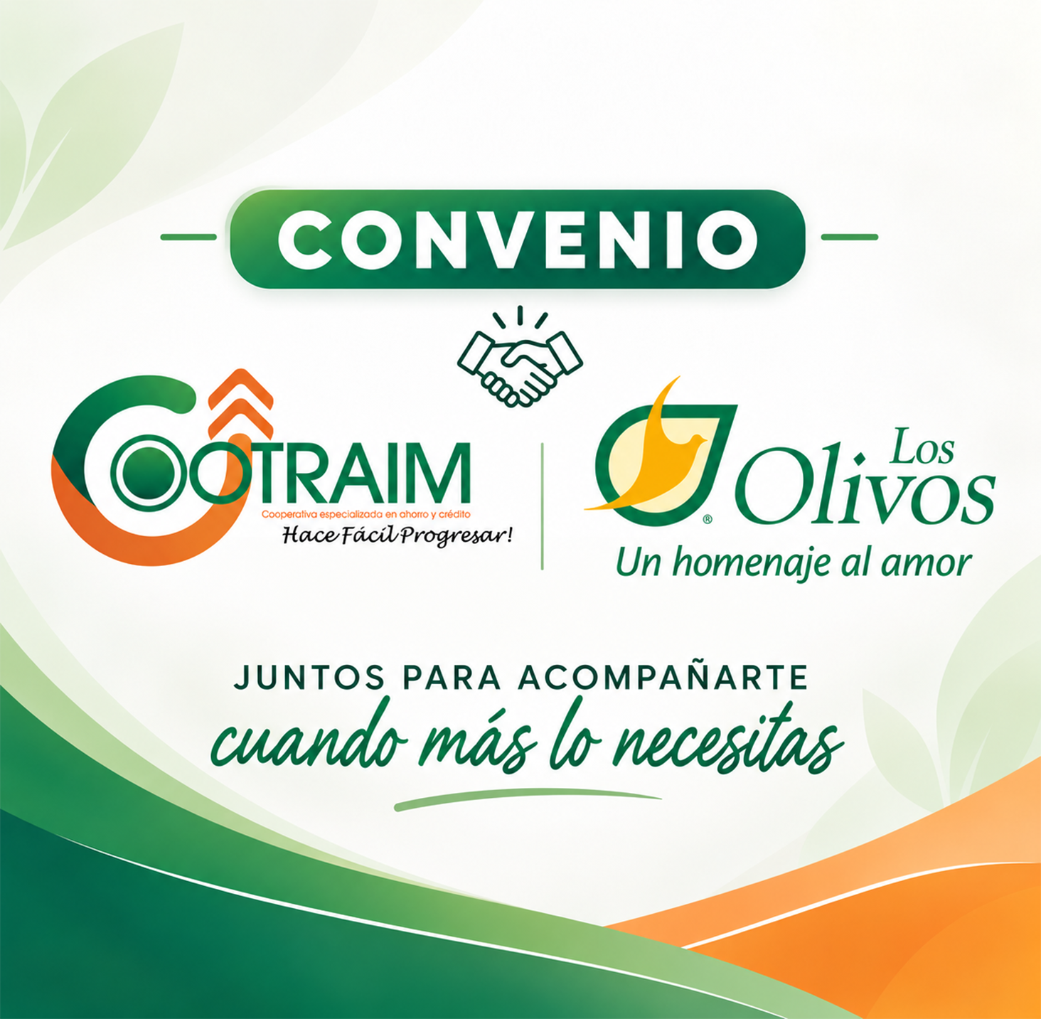 olivos